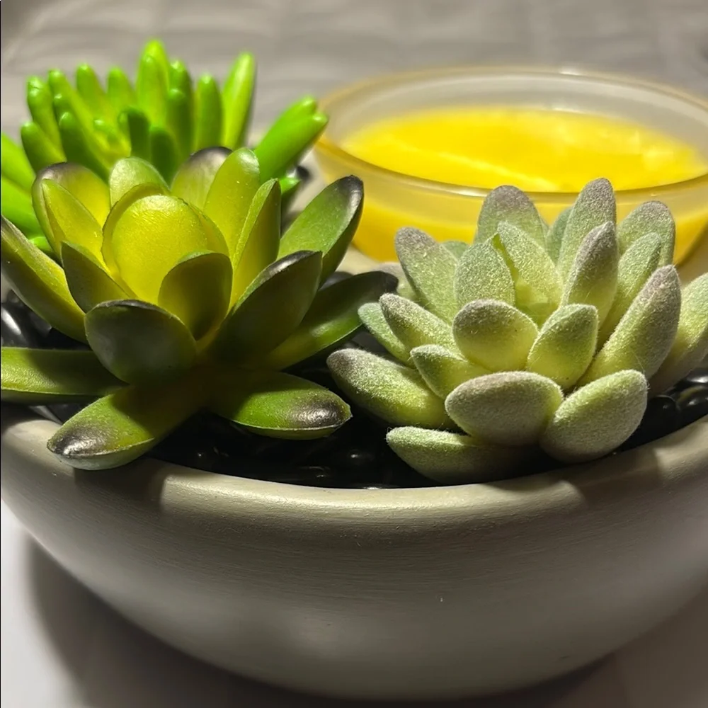 Scentsy Little Garden Warmer with Faux Succulent Accents - Picture 8 of 8